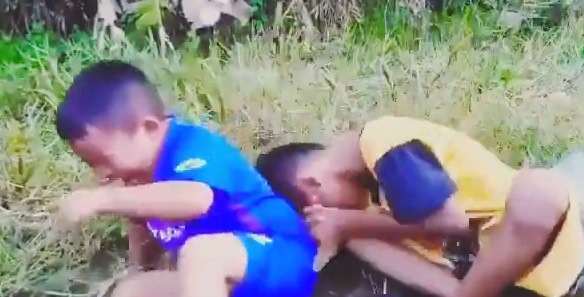 Video Lucu Story WA Terbaru